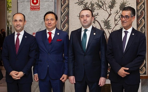 საქართველოში ზეთისხილის გაშენების კუთხით მიღწეულ შედეგებსა და სამომავლო პერსპექტივებზე ზეთისხილის საერთაშორისო საბჭოში იმსჯელეს