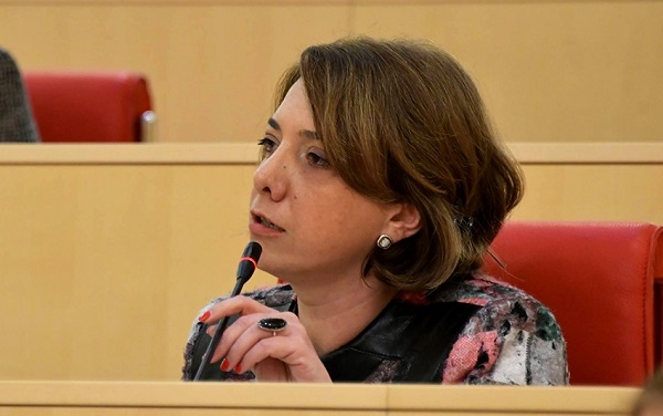 ჩვენ ვაპირებთ დავიბაროთ პარლამენტში საგარეო საქმეთა მინისტრი - სალომე სამადაშვილი