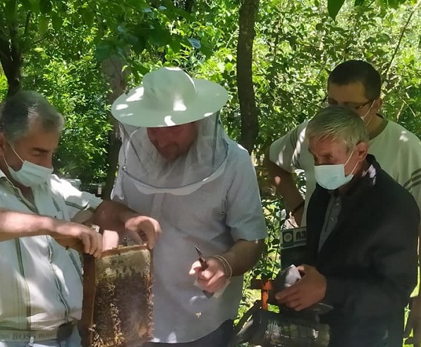 მეფუტკრე ფერმერებისთვის ტრენინგი ჩატარდა