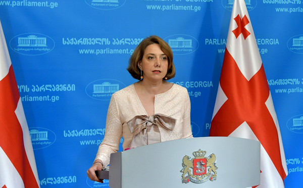 სალომე სამადაშვილი ფრაქცია 