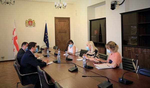 ჩვენთვის მნიშვნელოვანია საერთაშორისო გამოცდილება თემატურ მომხსენებელთან დაკავშირებით -  გიორგი ამილახვარი