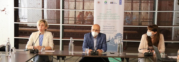 UNDP-ის და შვედეთის მთავრობის მხარდაჭერით, ტყის მრავალფუნქციური გამოყენების ხელშემწყობი პროექტი მიმდინარეობს