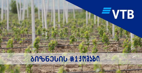 ვითიბი ბანკი აგრო ბიზნესის ხელშეწყობას განაგრძობს