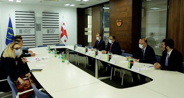 საქართველო მყარად მიჰყვება ევროპული ოჯახის სრულფასოვანი წევრობისკენ მიმავალ გზას - რიკ დემსი