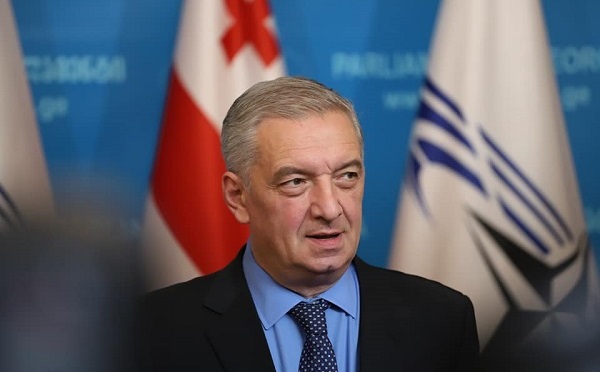 ევროკავშირის დახმარებას საქართველო მიიღებს, როგორც ერთ-ერთი მოწინავე ქვეყანა - ვოლსკი