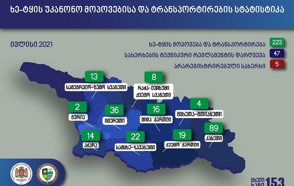 გარემოსდამცველებმა 1 თვეში ხე-ტყის უკანონო მოპოვებისა და ტრანსპორტირების 223 ფაქტი გამოავლინეს