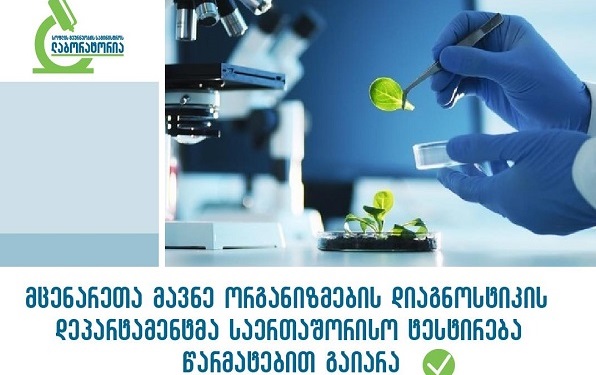 სოფლის მეურნეობის სახელმწიფო ლაბორატორიის მცენარეთა მავნე ორგანიზმების დიაგნოსტიკის დეპარტამენტმა საერთაშორისო ტესტირება წარმატებით გაიარა