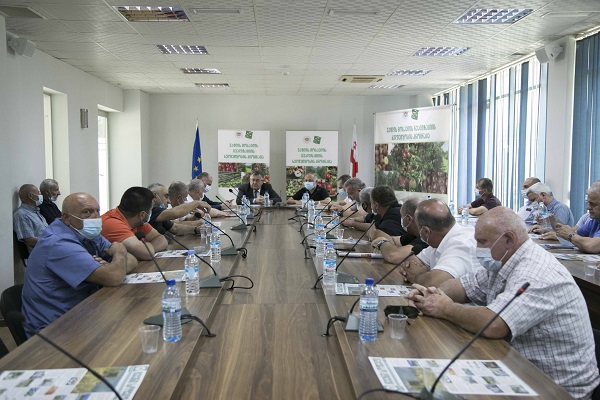 არასტანდარტული ვაშლის მოსავლის რეალიზაციის ხელშეწყობის მიზნით, სახელმწიფო პროგრამა ამოქმედდება
