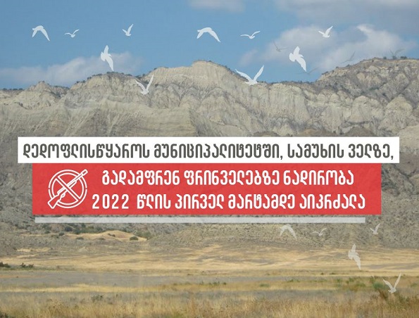 დედოფლისწყაროს მუნიციპალიტეტში, სამუხის ველზე, გადამფრენ ფრინველებზე ნადირობა 2022 წლის პირველ მარტამდე აიკრძალა