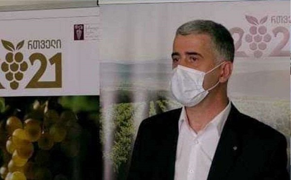 დასეტყვილი ყურძნის ჩასაბარებლად ყველა ღონისძიება უკვე გატარებულია. 3 საწარმო შეუფერხებლად იღებს დაზიანებულ მოსავალს - ოთარ შამუგია