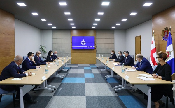 ვახტანგ გომელაური ეუთოს დემოკრატიული ინსტიტუტებისა და ადამიანის უფლებების ოფისის საარჩევნო სადამკვირვებლო მისიის ხელმძღვანელს შეხვდა