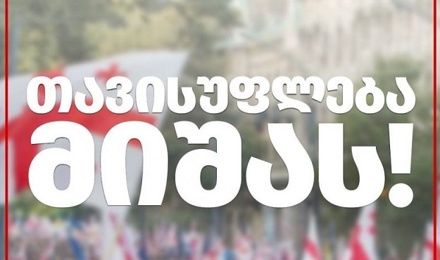 თავისუფლება მიშას! - 4 ოქტომბერს რუსთავის ციხესთან აქცია გაიმართება