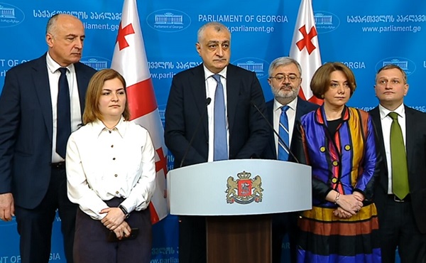 საპარლამეტო ფრაქცია 