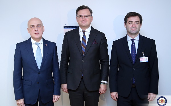 ბრიუსელში ასოცირებული ტრიოს ქვეყნების საგარეო საქმეთა მინისტრების შეხვედრა გაიმართა