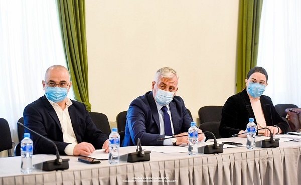 საქართველოს პარლამენტში ტყის ხანძრების მართვის ეფექტიანობის შესახებ მომზადებული აუდიტის დასკვნა განიხილეს
