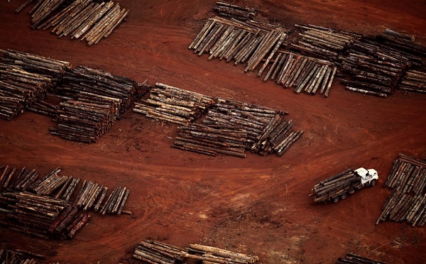 მსოფლიო ლიდერები პირობას დებენ, რომ 2030 წლისთვის ტყეების გაჩეხვას შეწყვეტენ