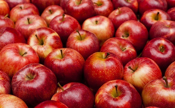 საქართველოდან 2.5 მლნ აშშ დოლარის ვაშლის ექსპორტი განხორციელდა