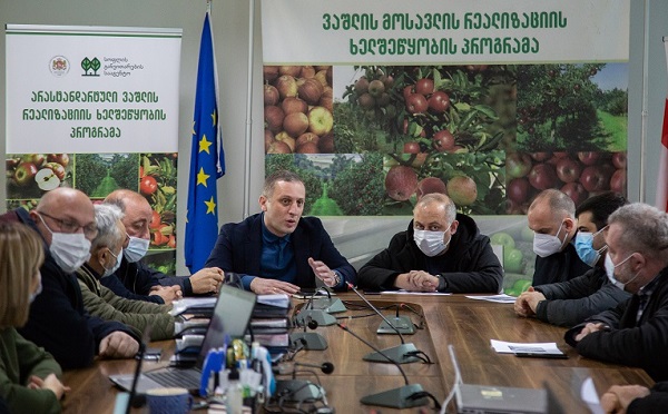 სახელმწიფო პროგრამის მხარდაჭერით, არასტანდარტული ვაშლის რეალიზაციის შედეგად, ფერმერებმა 9 მლნ ლარის შემოსავალი მიიღეს