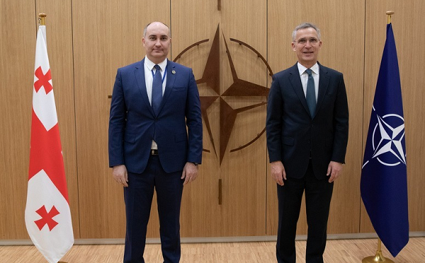 თავდაცვის მინისტრი ნატოს გენერალურ მდივანს შეხვდა