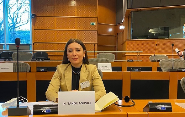 ნინო თანდილაშვილმა ევროპარლამენტში გამართულ ევროკავშირი-საქართველოს ასოცირების საპარლამენტო კომიტეტის მე-10 სხდომაში მიიღო მონაწილეობა