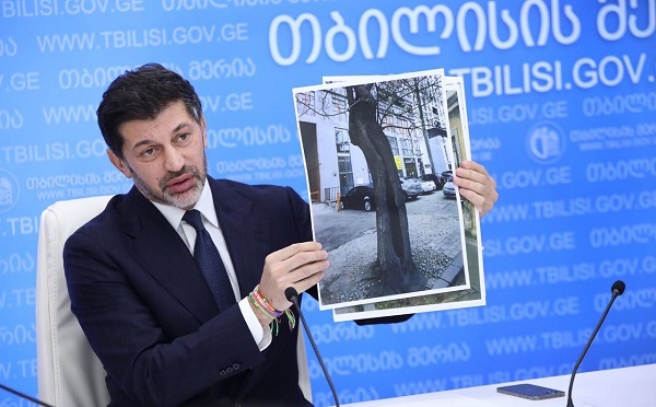 ქეთევან დედოფლის გამზირზე დაავადებული და დაზიანებული ხეები ჯანსაღი ნარგავებით ჩანაცვლდება