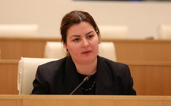 ტრაგიკულმა მოვლენებმა საქართველოს ევროინტეგრაციის დაჩქარების შესაძლებლობა გააჩინა - არ გვაქვს უფლება, რომ ეს ისტორიული მომენტუმი ხელიდან გავუშვათ - ანა ნაცვლიშვილი