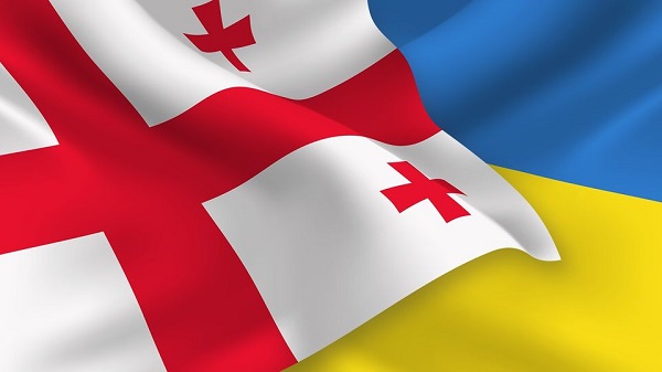 კობა გვენეტაძე თავის უკრაინელ კოლეგას ონლაინფორმატში შეხვდა