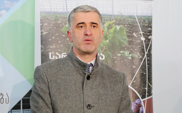 მეწარმეების ინიციატივის საფუძველზე, ექსპორტთან დაკავშირებით, მიმართვა გაკეთდა 2019 წელს და არა ომის დროს - საკითხის ასე წარმოჩენა ბინძური კამპანიაა - შამუგია