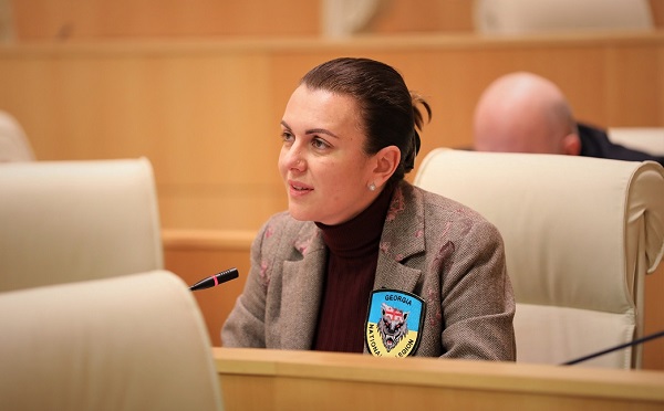 ნონა მამულაშვილი უმრავლესობის წევრებს 