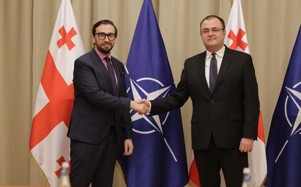 იუსტიციის მინისტრმა და ნატო-ს სამეკავშირო ოფისის ხელმძღვანელმა ნატო-საქართველოს თანამშრომლობის პერსპექტივებზე ისაუბრეს
