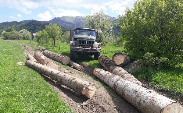 გარემოსდაცვითი ზედამხედველობის დეპარტამენტის თანამშრომლებმა აღმოსავლეთ საქართველოში ხე-ტყის უკანონო ტრანსპორტირების 23 ფაქტი გამოავლინეს