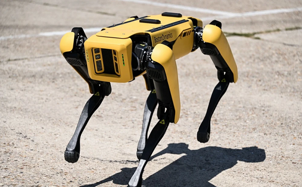 აშშ უკრაინას ტერიტორიების განაღმვისთვის რობოტ ძაღლს გაუგზავნის