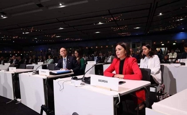ნინო თანდილაშვილი სტოკჰოლმში გამართულ მაღალი დონის კონფერენციაზე სიტყვით გამოვიდა