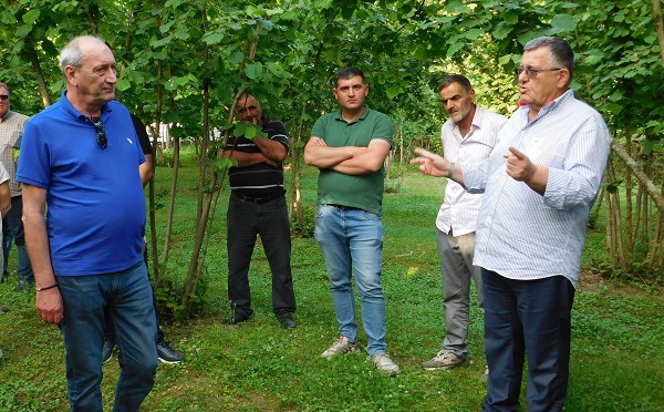 აგვისტოში თხილის რაოდენობრივ და ხარისხობრივ ზრდას ველოდებით - გიორგი ხანიშვილი
