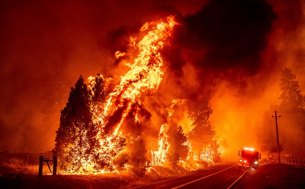 კალიფორნიაში ტყის ხანძრები მძვინვარებს | ფოტოები