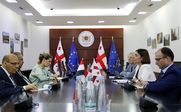 ნინო თანდილაშვილი ეგვიპტის დელეგაციის წევრებს შეხვდა