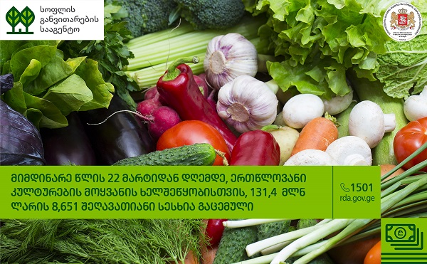 ერთწლოვანი კულტურების მოყვანის ხელშეწყობისთვის, სახელმწიფო პროექტის ფარგლებში, 22 მარტიდან დღემდე, 131,4 მილიონის 8,651 სესხია გაცემული