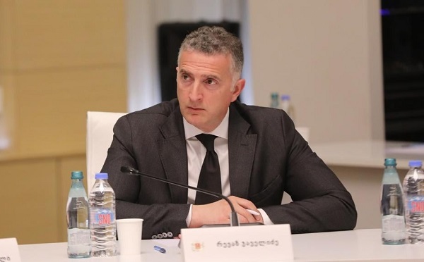 საქართველოში, 2024 წელს, დაგეგმილია, მოსახლეობის საყოველთაო აღწერა