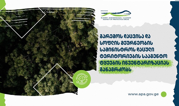 გარემოს დაცვისა და სოფლის მეურნეობის სამინისტროს დაცული ტერიტორიების სააგენტო ქვეყნის მასშტაბით ტყეების ინვენტარიზაციას ახორციელებს