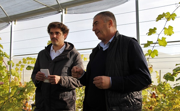 FAO-ს მონიტორინგის სამსახურმა ჯიღაურაში ეკრანული სათბურები დაათვალიერა