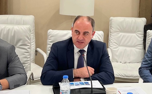 დავით ნარმანიამ  დარგობრივი ეკონომიკისა და ეკონომიკური პოლიტიკის კომიტეტში სემეკის 2021 წლის ანგარიში წარადგინა