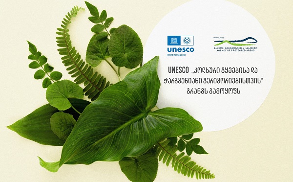 UNESCO „კოლხური ტყეებისა და ჭარბტენიანი ტერიტორიებისთვის“ გრანტს გამოყოფს