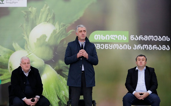 სამეგრელოს მუნიციპალიტეტში გამართულ შეხვედრაზე, ოთარ შამუგიამ თხილის წარმოების მხარდაჭერის პროგრამა მეთხილე ფერმერებს გააცნო