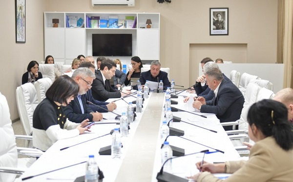 პარლამენტი ადგილობრივი თვითმმართველობის კოდექსის ცვლილებებს დაჩქარებული წესით იხილავს