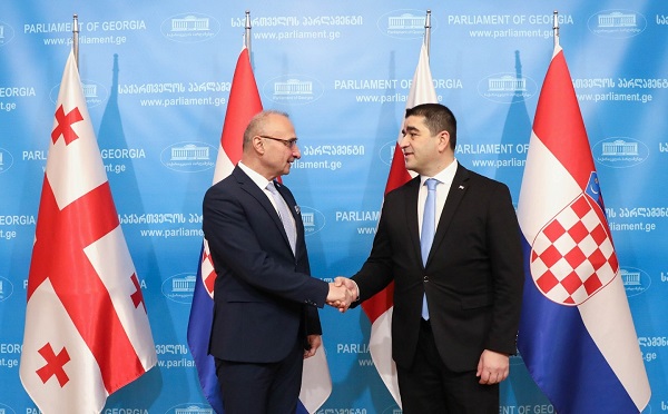 შალვა პაპუაშვილი ხორვატიის რესპუბლიკის საგარეო და ევროპულ საქმეთა მინისტრს შეხვდა