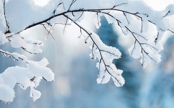 18 თებერვლამდე საქართველოში მოსალოდნელია ცივი და ნოტიო ჰაერის მასების გავრცელება, ნალექი უმეტესად თოვლის სახით