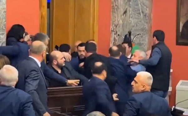 ოპოზიციონერ დეპუტატებს საკომიტეტო სხდომა ძალის გამოყენებით დაატოვებინეს