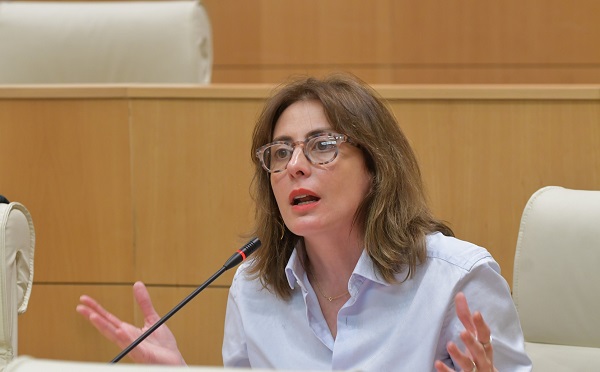ყველა ამბობს მხოლოდ ერთს - ამ ორი კანონპროექტის განხილვაც კი დაგვაზიანებს - ხატია დეკანოიძე