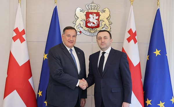 ირაკლი ღარიბაშვილმა და ევროპის ოლიმპიური კომიტეტის პრეზიდენტმა 2025 წლის ზამთრის ახალგაზრდული ოლიმპიური ფესტივალის მოსამზადებელი პროცესი განიხილეს