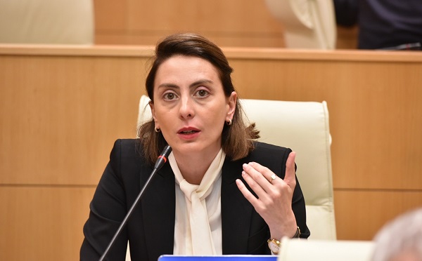 შევქმენით საკოორდინაციო საბჭო, რომელში იქნება ყველა ის პროდასავლური პოლიტიკური ძალა, რომელიც ნამდვილად იბრძოდა საქართველოსთვის მომავლისთვის - ხატია დეკანოიძე